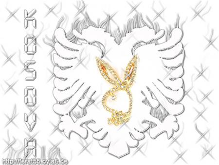 trop beau!!!!